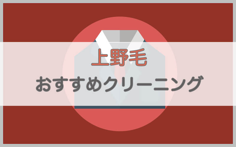 上野毛のおすすめクリーニング